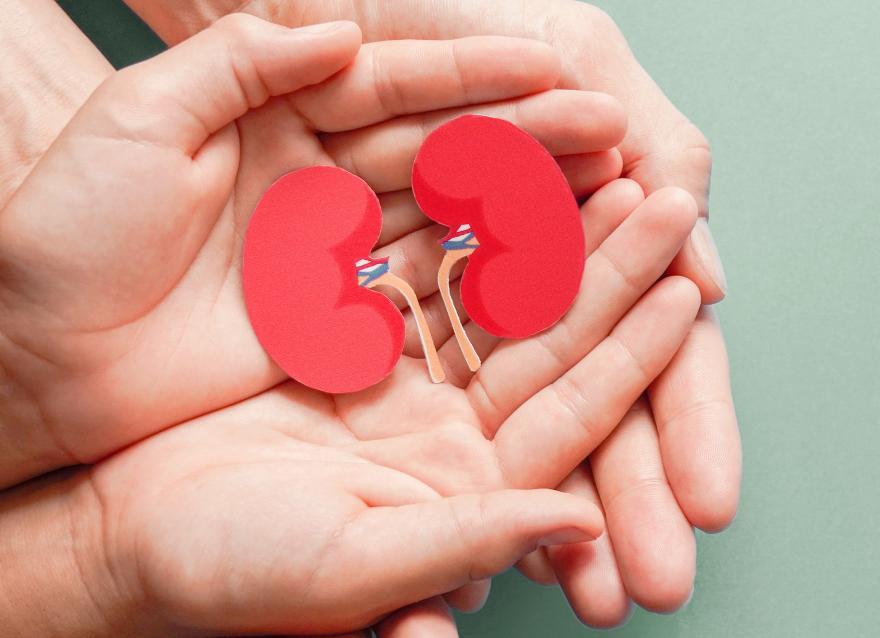 寶~腎好，才甚好！