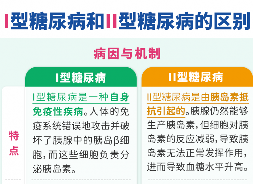 Ⅰ型糖尿病和Ⅱ型糖尿病的區(qū)別